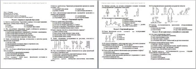 Тест основы физической культуры. Задания по физической культуре олимпиадные. Задачи по физической культуре олимпиадные.