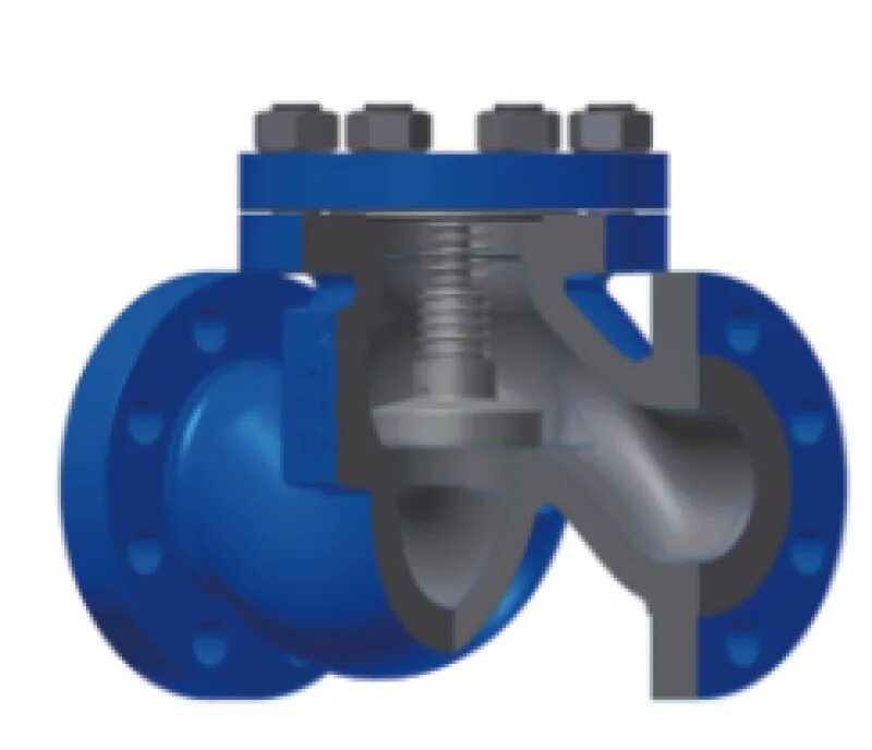 Клапан обратного давления воды. Обратный клапан осевой Ду 80. Клапан обратный pn16 dn100 4 " 150. Клапан обратный подъемный КПО 15-160.12х18н10т. Клапан обратный подъёмный КПО 25-160.
