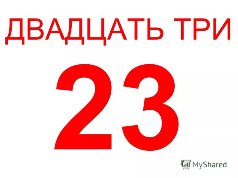 23 года в днях