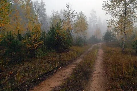Плохой пейзаж