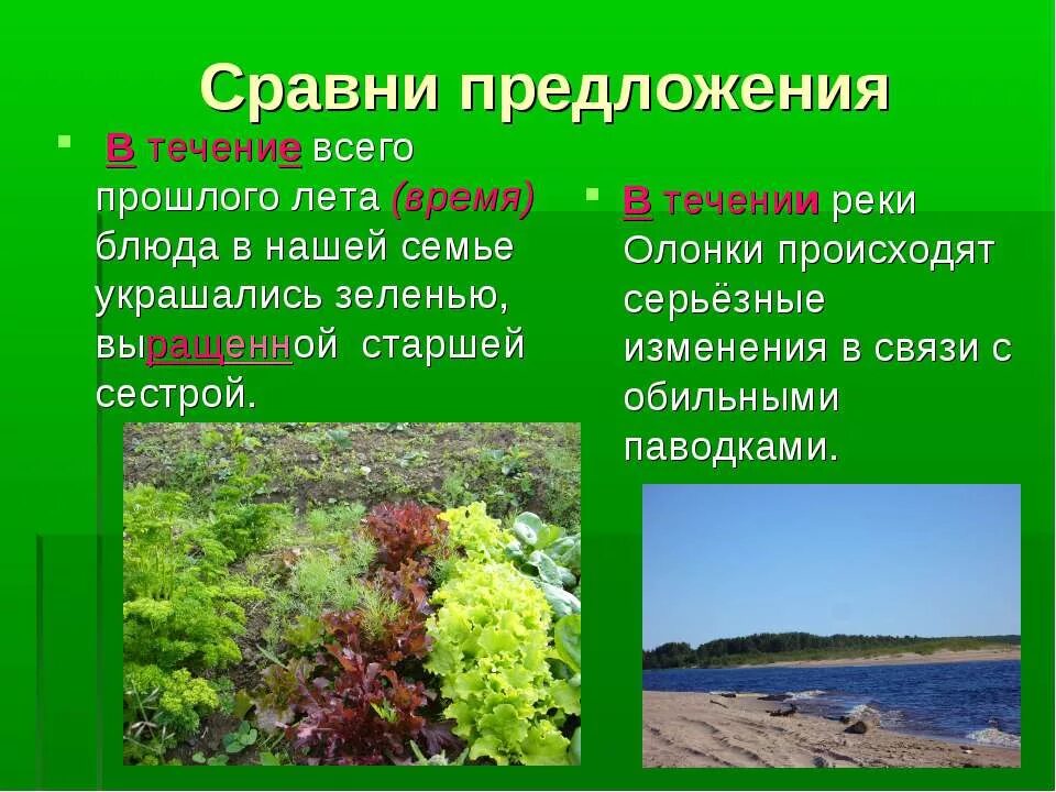 5 предложений в течение и в течении. В течение предложение. В течении реки предложение. Предложения с в течение и в течении. D ntxtybbпредложения.