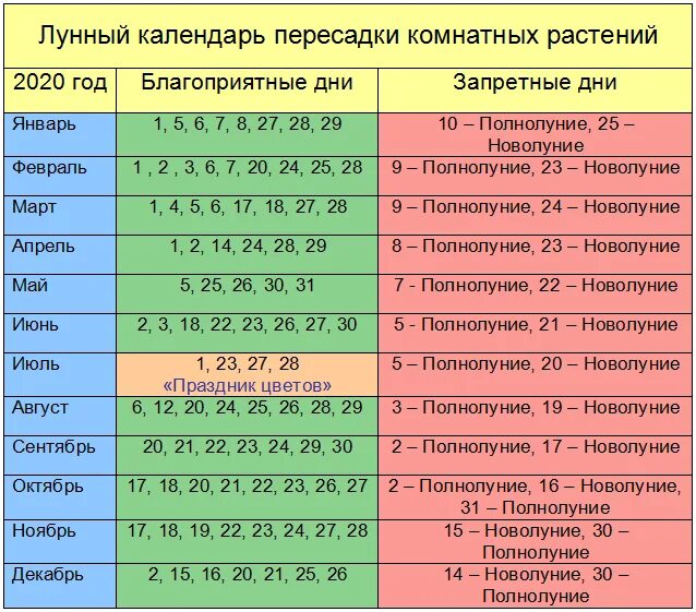 Лунный календарь на апрель комнатные растения