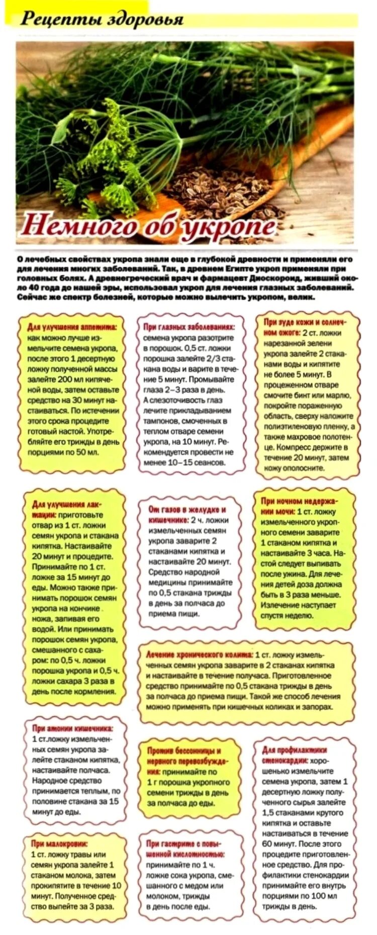 Укроп семена полезные свойства. Семена укропа полезные качества. Семя укропа от давления. Семена укропа как заваривают и пьют. Как правильно пить укроп