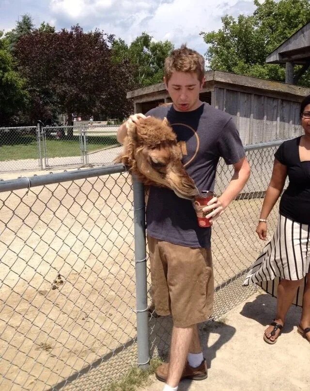 Группа людей. Член семьи прикол. Оказалось показалось. Показалось фото приколы. Оказалось показалось.