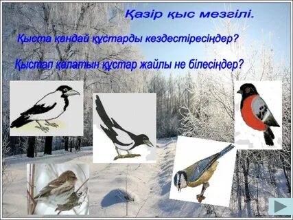 Үлкен есек әйелмен жыныстық қатынас