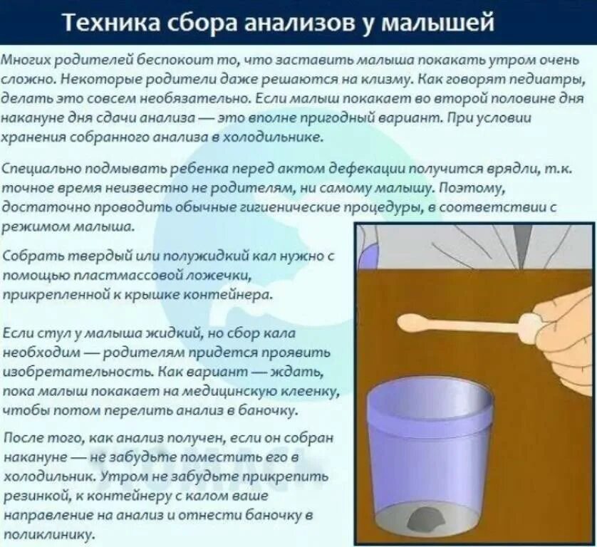Как утром сдать кал. Правильный сбор кала. Как сдавать анализ кала. Как правильно сдать анализ кала. Сколько кала необходимо для анализа.