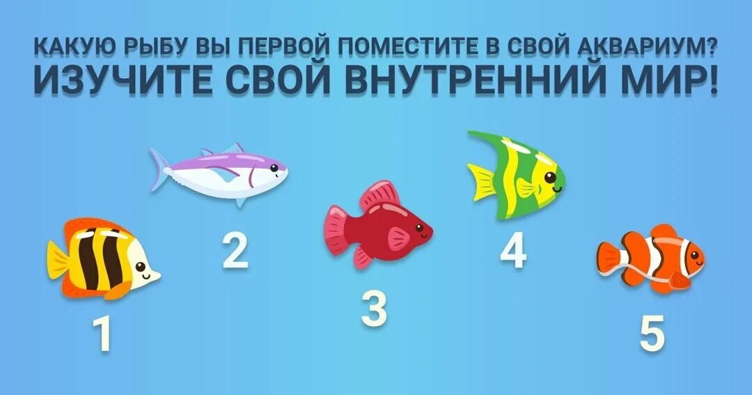 Тест выбери рыбку. Золотая рыбка тест. Тест рыбка. Тестопластика золотая рыбка. Тест по рыбам.