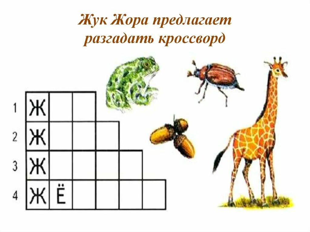 Кроссворд звуки и буквы. Кроссворд с буквой ж. Грамота буква ж. Задания по букве ж. Карточка буква ж.