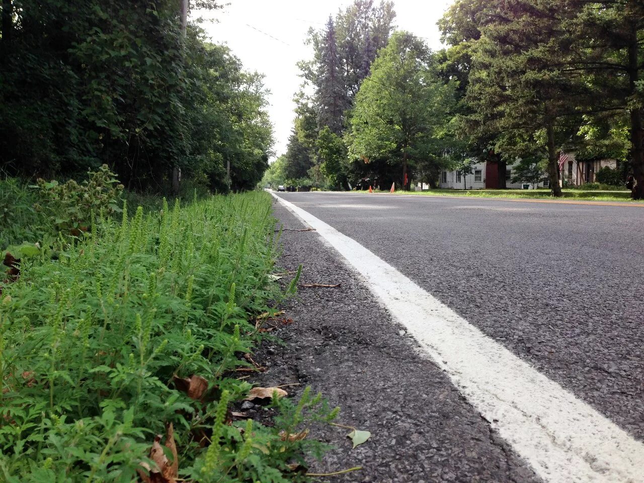 страх сцены 1950. кончаться тротуар. лужи по колено южноуральск рощино. шэл сильверстейн где кончается тротуар обложка книги. джин элиза тирни.