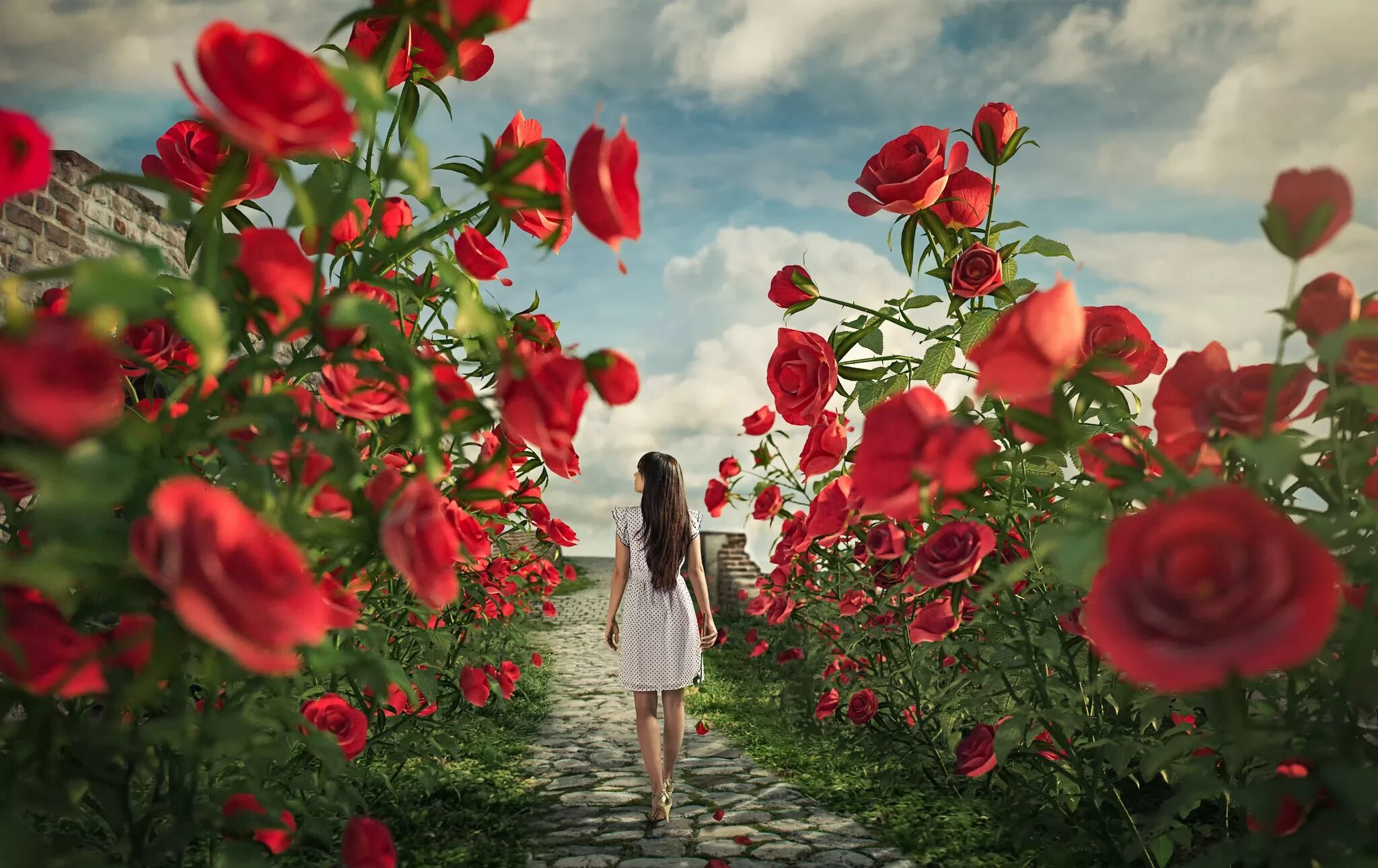 Красивые пейзажи с розами. Красные розы в саду. Девушка среди цветов. Сказочные розы.