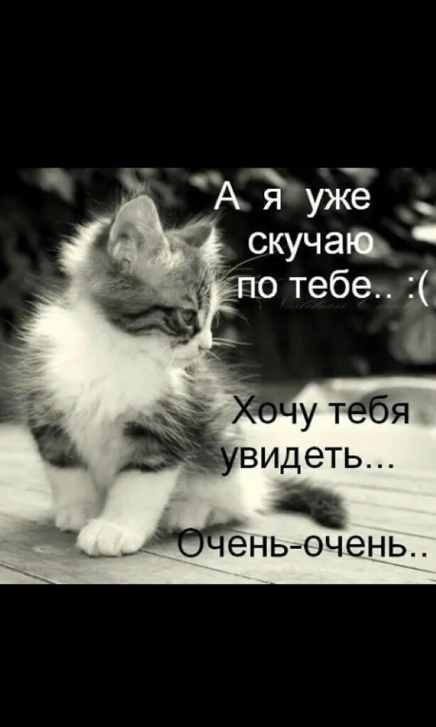 Хочу очень высокую