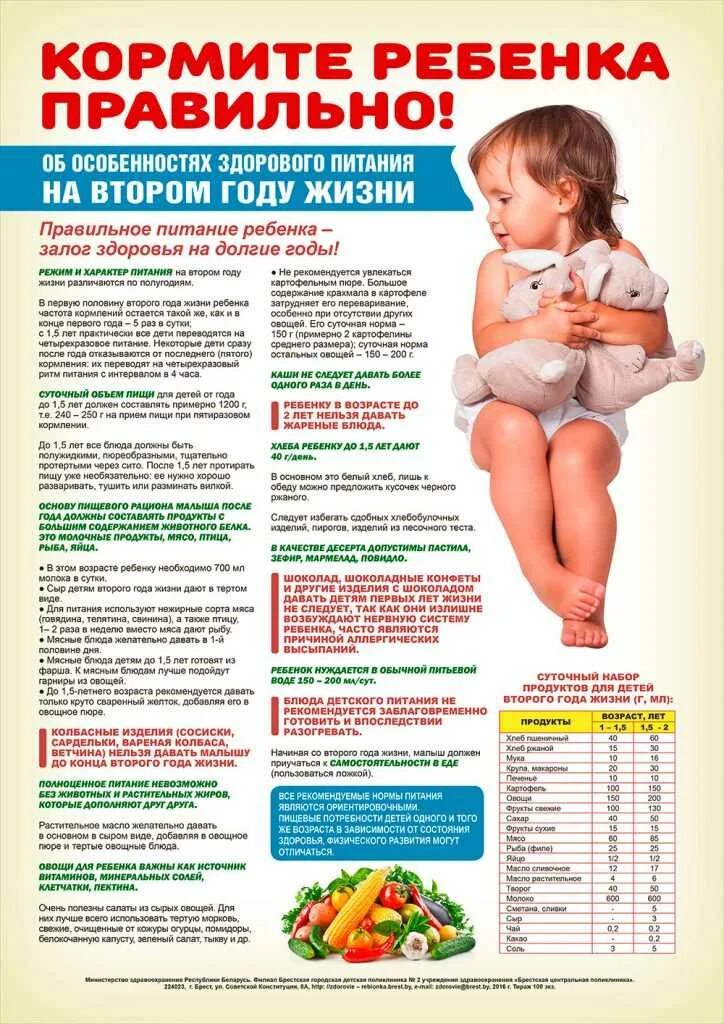 Стоит ли давать ребенка. Питание детей от года. питание ребенка в год. питание для детей 2-3 года. памятка на тему правильное питание детей до года.