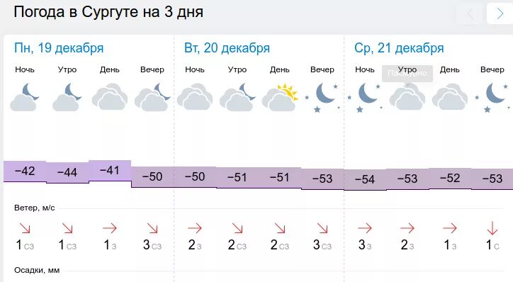 Погода в няндоме 10 дней самый точный. Погода в Нижневартовске. Погода в Сургуте. Погода в Нижневартовске на 10 дней. Климат Сургута по месяцам.