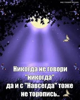 Мир глазами женщины