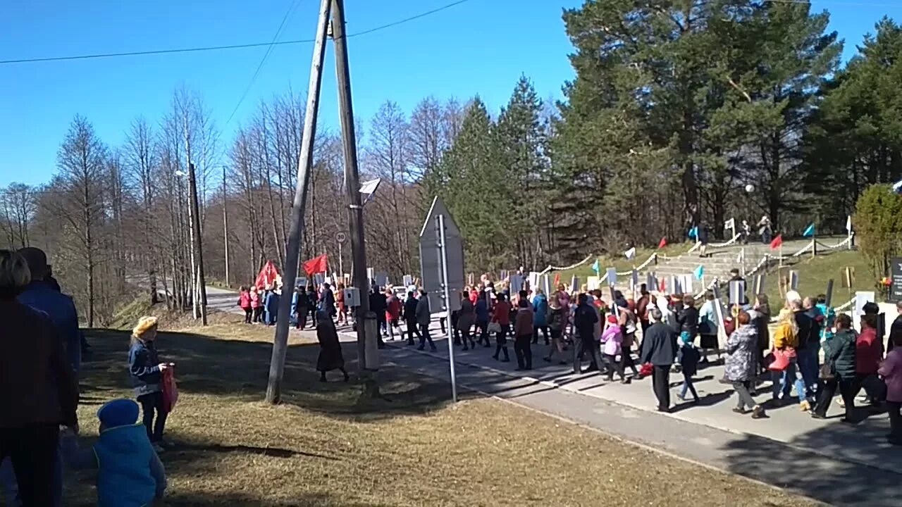 Липин Бор парк. Липин Бор Вологодская область. День Победы Сосновый Бор. Липин Бор день района. Группа вконтакте липин бор