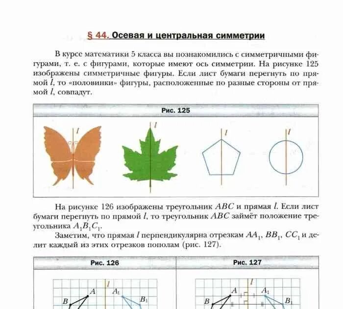 PPT - МИР СИММЕТРИИ И СИММЕТРИЯ МИРА PowerPoint Presentation - ID:3001657