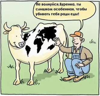 Фраза корова