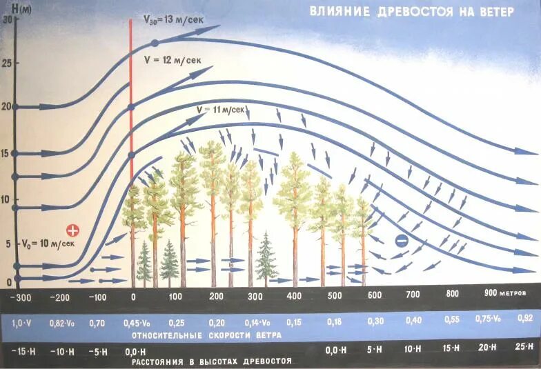 Направление движения воздуха в приземном слое