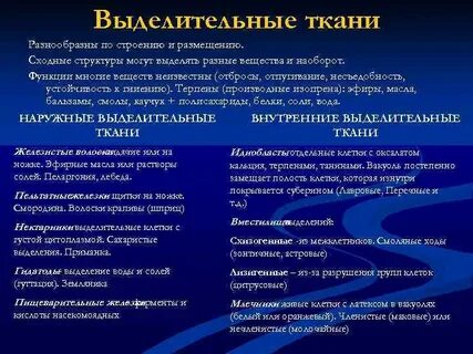 Защитные секреторные функции выполняют какие ткани