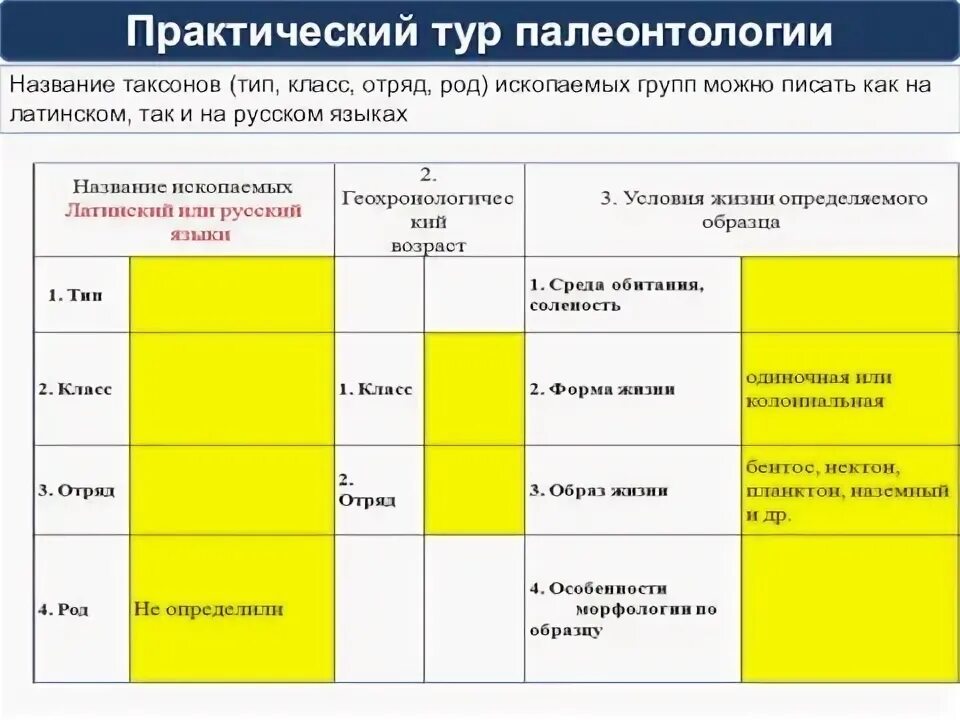 Гидробиология это наука изучающая. Задания по олимпиаде по биологии 7 класс. Практический тур по физике региональный этап. Практический тур олимпиады по биологии. Региональный этап всероссийской олимпиады школьников 2022-2023.