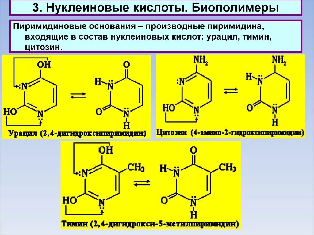 Тимин это пиримидиновые основания. Пиримидиновые производные нуклеиновых кислот. Тимин нуклеиновая кислота. Пиримидиновые основания нуклеиновых кислот.