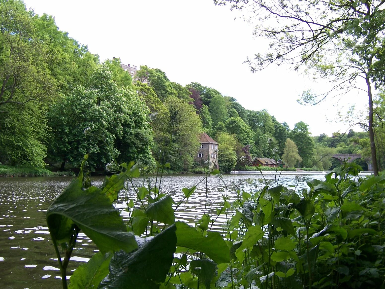 Река в дареме. Дарем. Дарем. River wear. River wear.