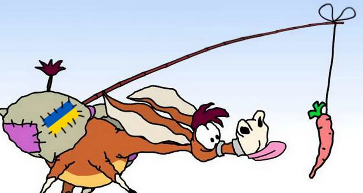 Как сделать морковную удочку. Морковка на веревке. Осел за морковкой. Подвешенная морковка. Игрушки махалки для кошек.