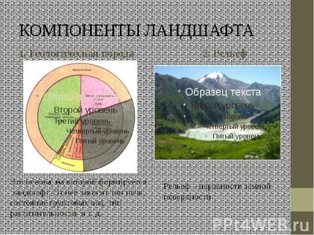 Элементы природного ландшафта. Природные компоненты ландшафта. Элемент географического ландшафта. Элемент географического ландшафта. Компоненты ландшафта.