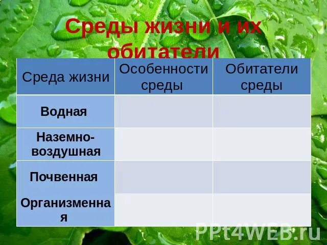 Баклажан среда обитания наземно воздушная. Среды жизни и их обитатели. Характеристика сред жизни. Заполните таблицу обитатели разных сред жизни среда жизни обитатели. Обитатели разных сред жизни таблица.