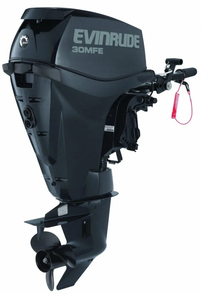 Лодочный мотор 30 купить новый. Мотор Evinrude 30mfe. Мотор Лодочный Эвинруд 30 л.с. Evinrude Лодочный мотор 30лс. Лодочный мотор Эвинруд 300.