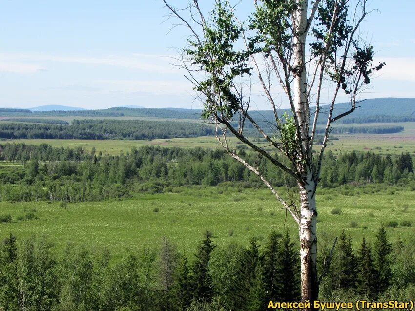 Партизанское (Красноярский край). Стойба Партизанский район. С Стойба Красноярский край Партизанский район. Деревня Кожелак. Погода в красноярском крае селе партизанском