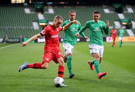 Байер вердер