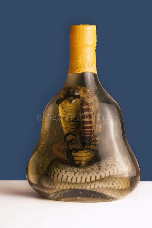 Парфюм со змеей на флаконе. Kilian духи белый флакон. Духи со змеей на флаконе старые. Духи женские килиан со змеей белый флакон. Килиан флакон со змеей.