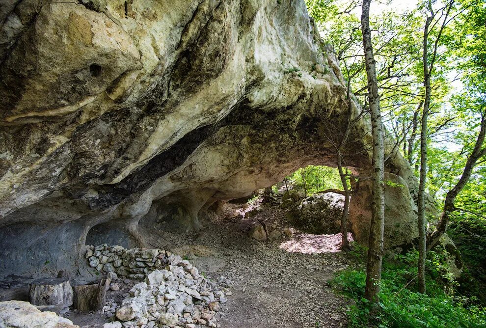 станица даховская адыгея. станица адыгея. станица даховская мост. адыгейский баобаб даховская. станица даховская адыгея.