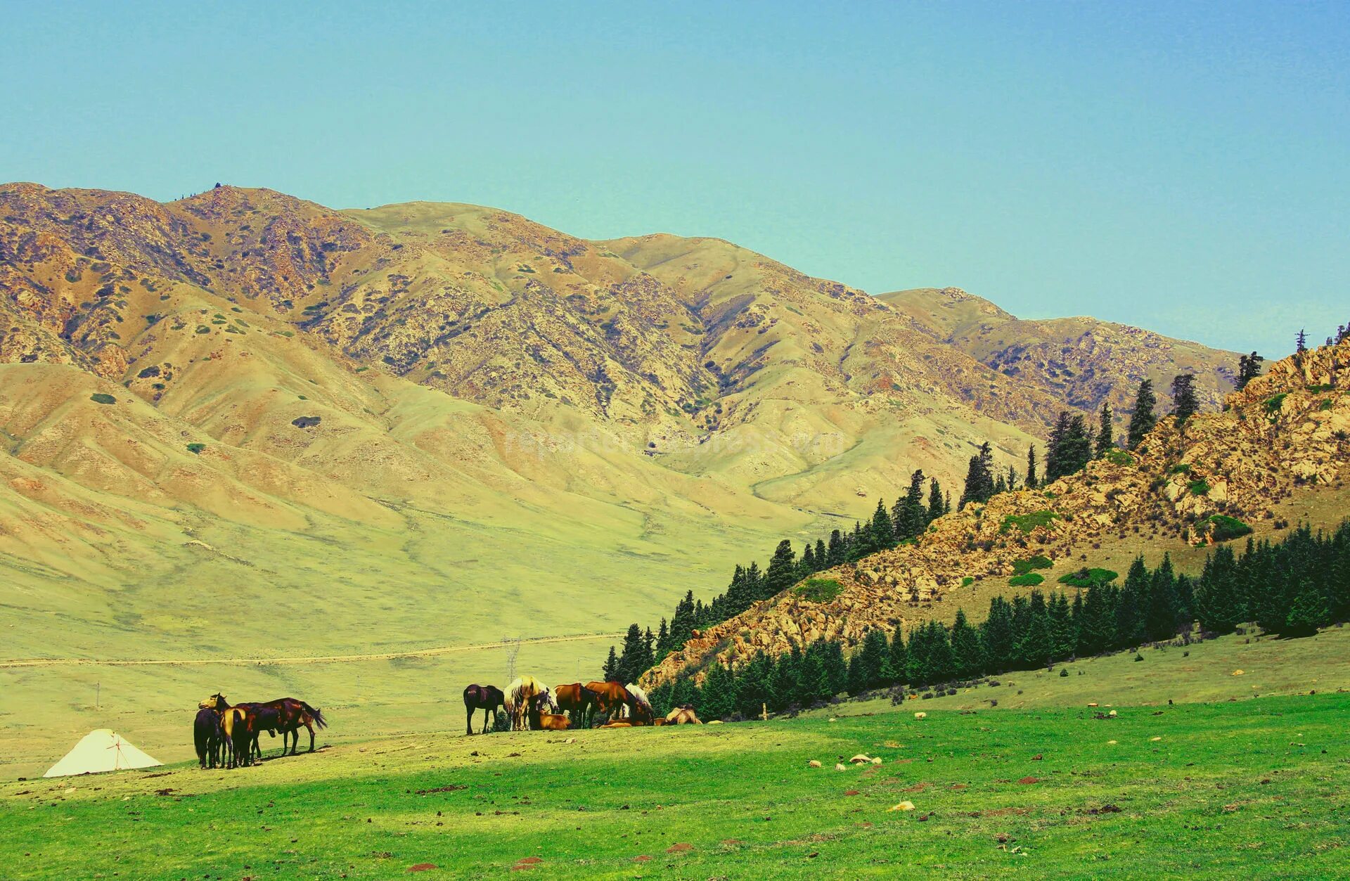 Ферганская Долина Киргизия. Природа Кыргызстана горы жайлоо. Природа Кыргызстана юрта горы. Кыргызстан Чуйская Долина. Кыргызстан это киргизия или нет