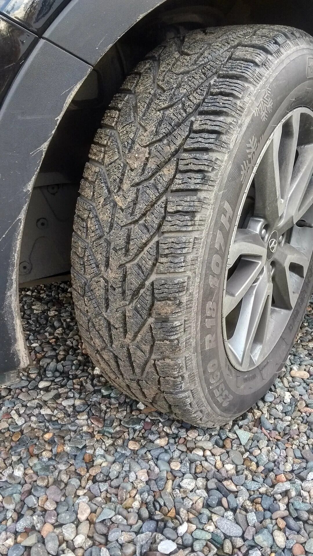 Корморан 225 55 17 липучка. Kormoran snow 245/45 r18 100v. Kormoran snow отзывы. 215/50 r17 kormoran snow 95v. 225/50 r17 tigar winter 94h.