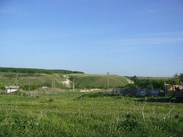 Новодевичье самарская область. Село Новодевичье Шигонского района. Новодевичье Самарская область Шигонский район. Село Подвалье Самарской области. Село Подвалье Шигонский район.