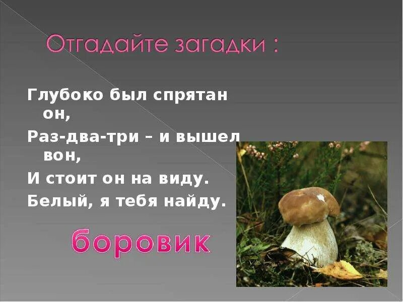 Гриб рыжик доклад 2 класс. Краткое описание гриба лисичка для 2 класса. Интересные факты о грибах. Доклад о грибе лисичка 5 класс биология. Рассказ о грибах.