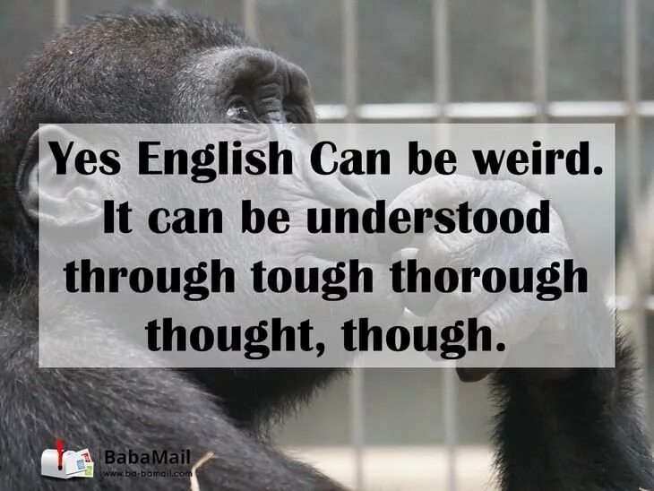 Thought it through. Мем through through. thought through thorough thought мем. through thought through tough thorough мем. yes english can be weird.