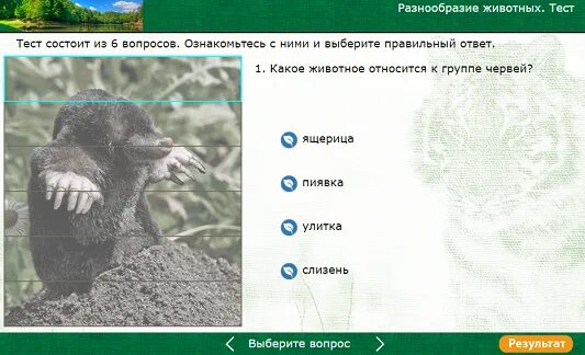 Тест звери 2 класс окружающий мир. Разнообразие животных ьеаст. разнообразие животных 3 класс тест. проверочная работа многообразие животных.