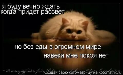 Вечно ждать