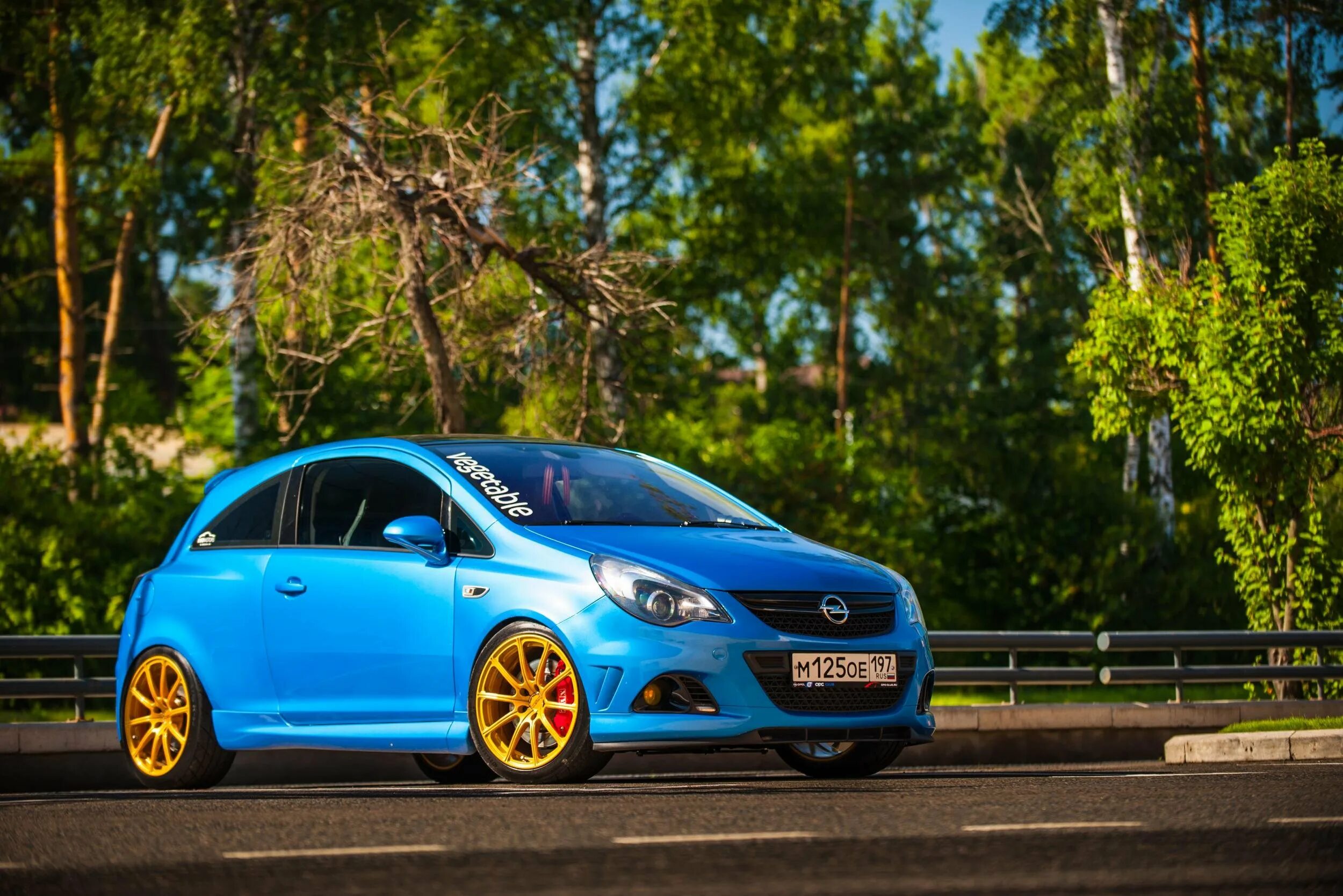 Опель Корса ОПС. Опель Корса OPC. Opel Corsa c OPC. Opel Corsa d OPC.