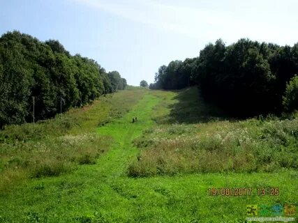Боровский курган