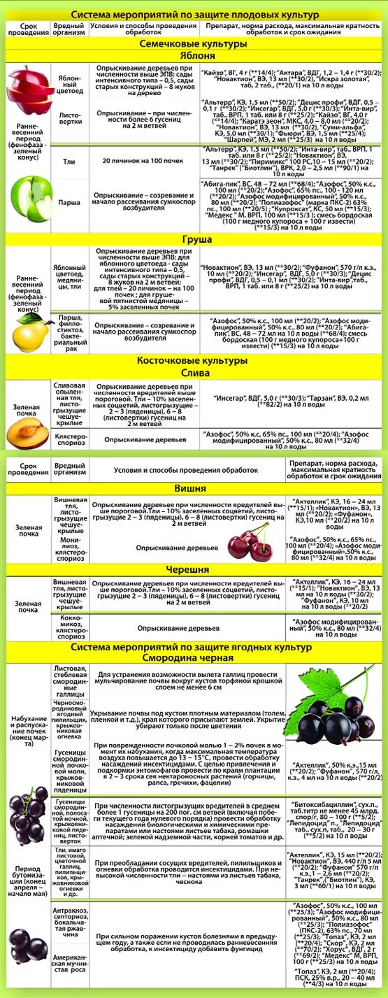 Схема опрыскивания плодовых деревьев. Схема обработки сада от вредителей. График обработки плодовых деревьев. График обработки сада.