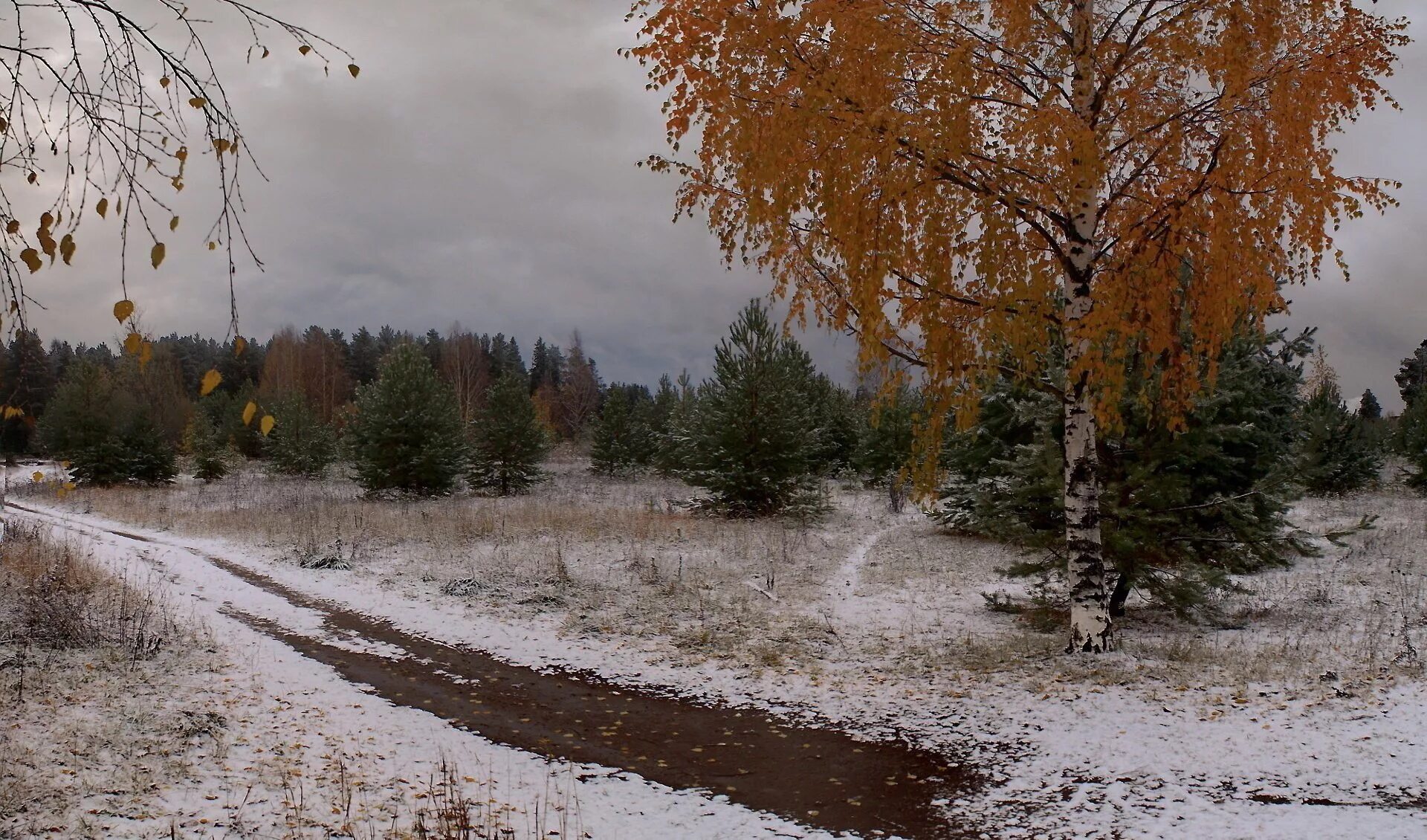 Заставка ноябрь. Ранняя Золотая поздняя осень. Ранняя зима. Поздняя осень фото. Первый снег.