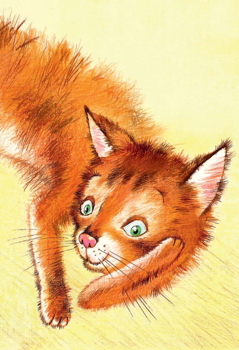 Заходер кошка. Заходер кошка вьюшка. стихотворение кошки заходер. стихи бориса заходера кошки.