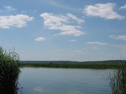 Центральный форум рыбака водохранилище