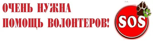 Нужны добровольцы. Нужны волонтеры. Нужны добровольцы. Когда нужна помощь волонтеров. Требуются волонтеры.