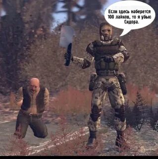 Набери здесь