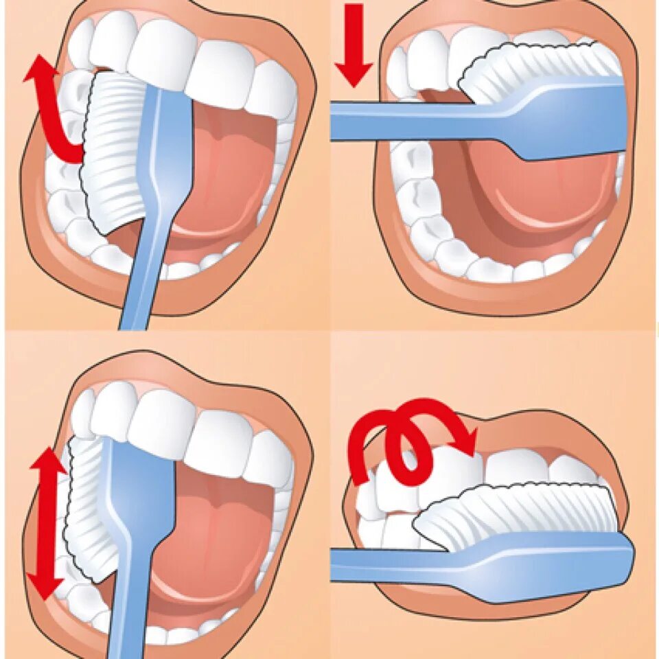 Полезно чистить зубы. Схема правильной чистки зубов. Как правильно чистить зубы. Как правильно читать зубы. Какпровельно чистить зубы.